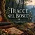 Tracce nel Bosco – sulle orme delle masche piemontesi